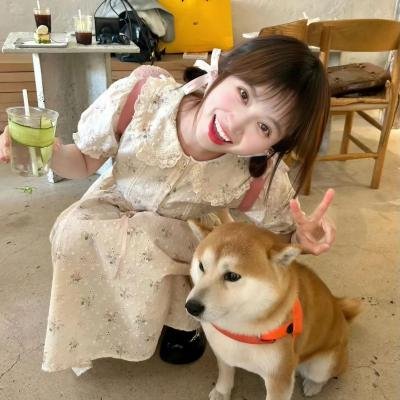大虎鲨